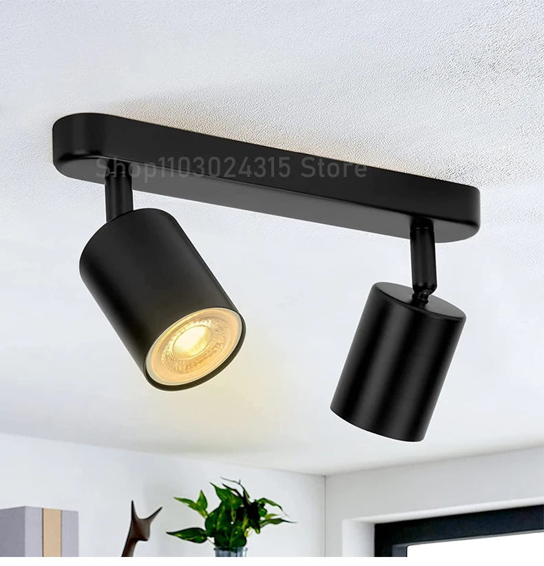 Beam Adjustable Spotlight