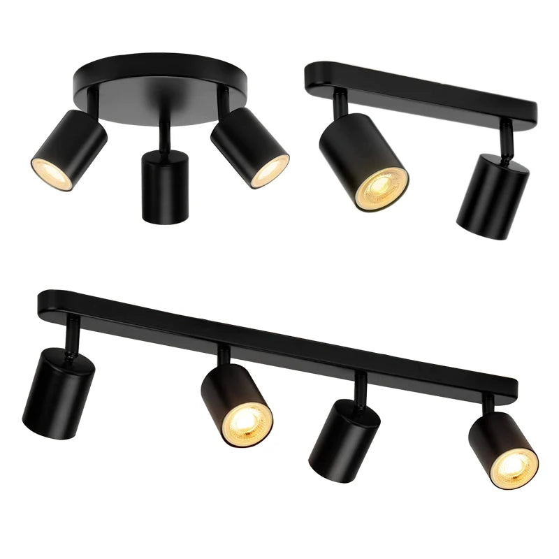 Beam Adjustable Spotlight