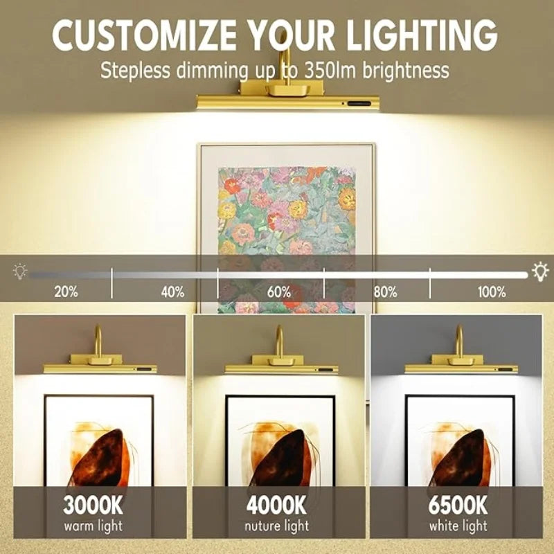 Gallery Picture Light